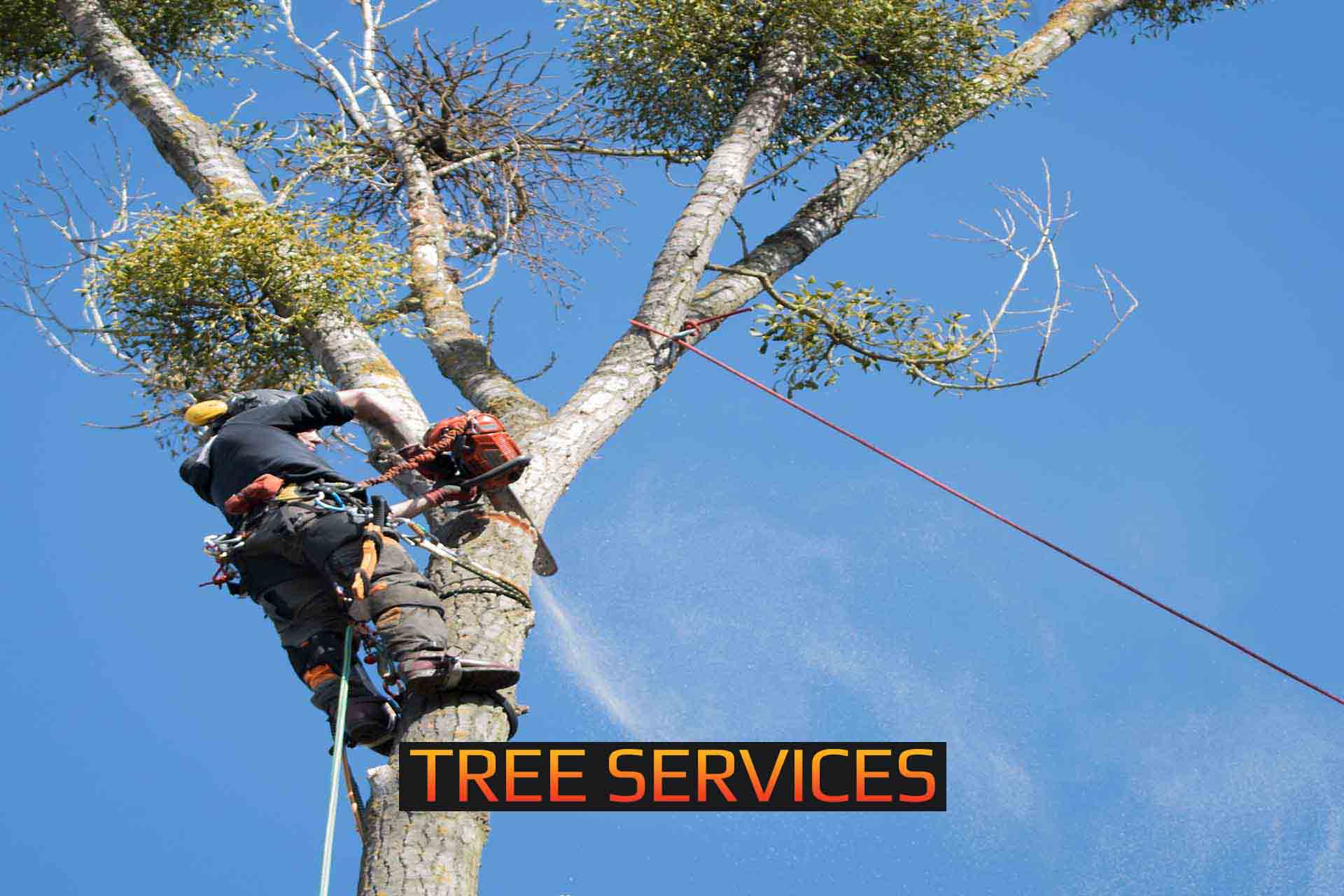 TREE SERVICES